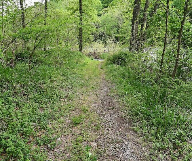 River Walk Cottage   Romantic Escape