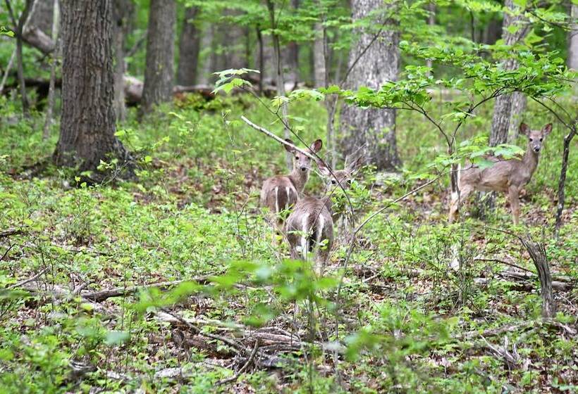 River Walk Cottage   Romantic Escape