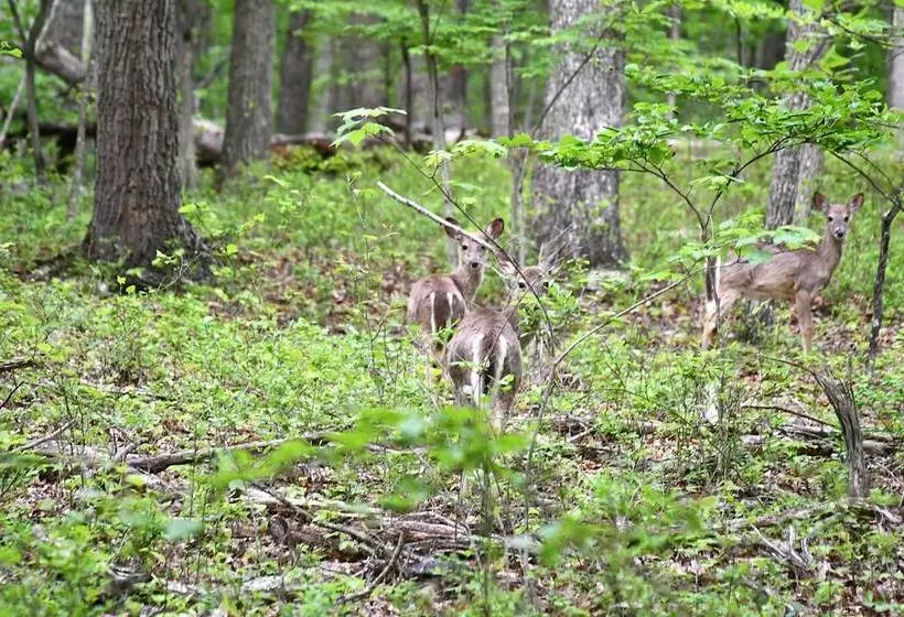 River Walk Cottage   Romantic Escape