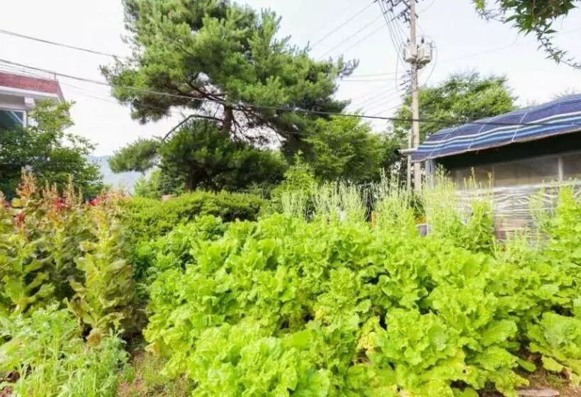 Yeoju Hana Pension