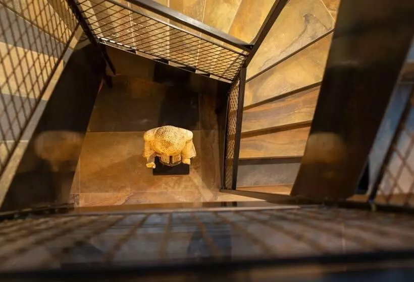 تختخواب و صبحانه Green & Breakfast