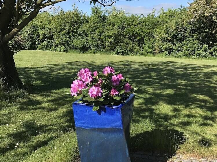 ベッドアンドブレックファースト Villa Grande