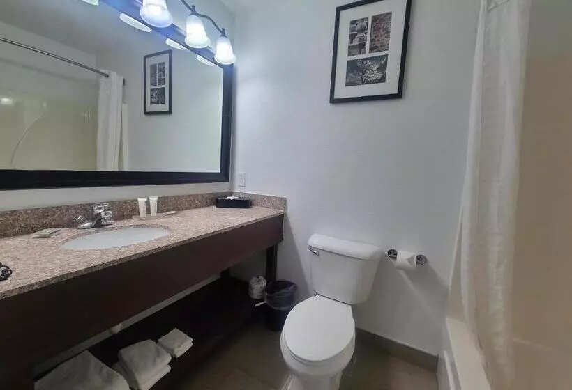 Country Inn & Suites By Radisson, Paducah, Ky