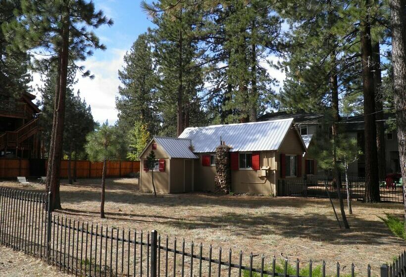 Dog Friendly Cabin Only Steps To The Lake