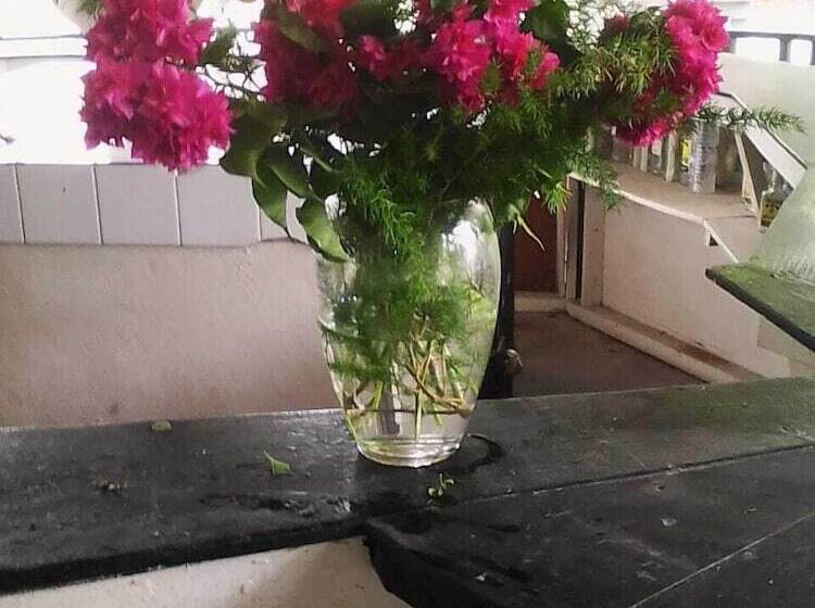 Drifters At One Mile Hostel