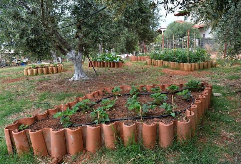 Glamping At A Lovely Tent In Skiaxtro  Marathopoli