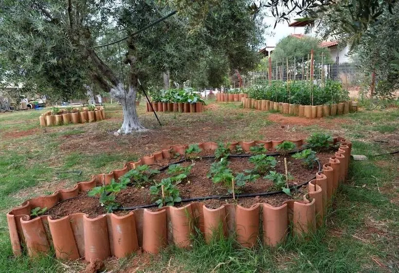 Glamping At A Lovely Tent In Skiaxtro  Marathopoli
