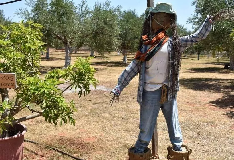 Glamping At A Lovely Tent In Skiaxtro  Marathopoli