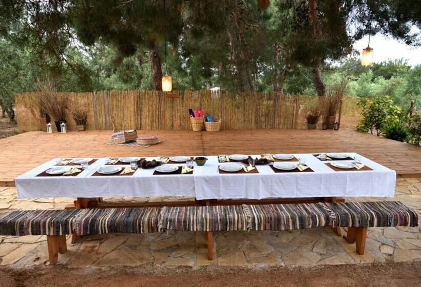 Glamping At A Lovely Tent In Skiaxtro  Marathopoli