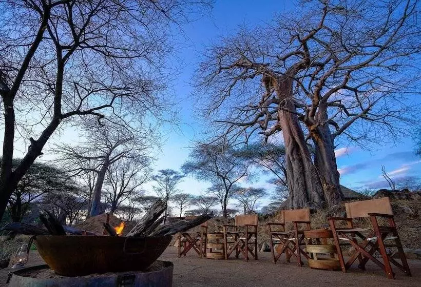 Hotelli Asanja Ruaha