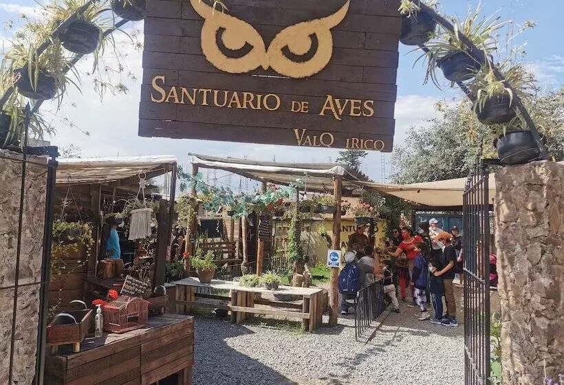 ホテル Canaria Valquirico