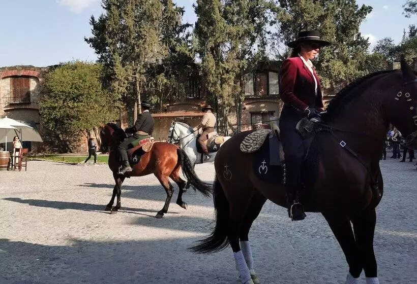 ホテル Canaria Valquirico