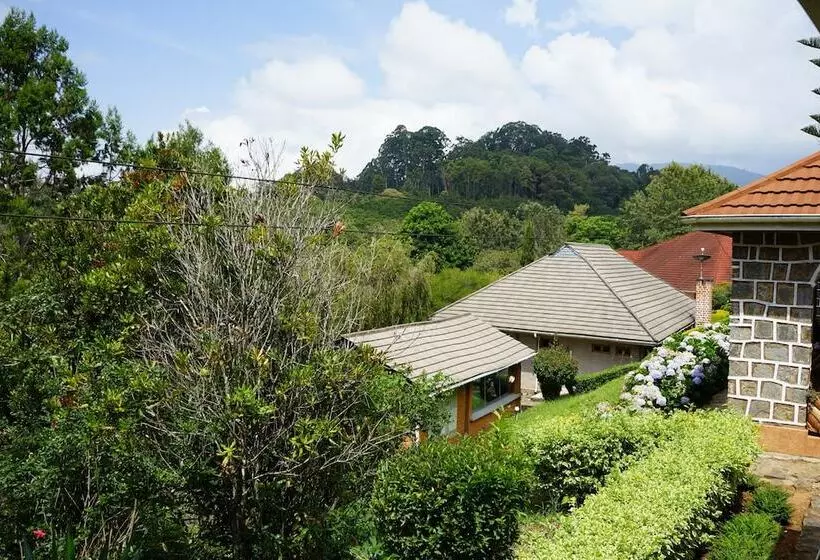 ホテル Lushoto Executive Lodge