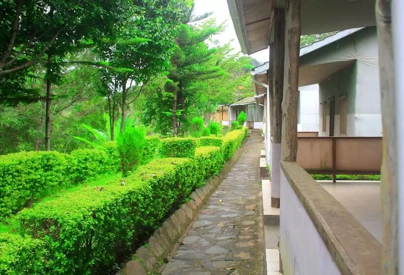 ホテル Lushoto Executive Lodge