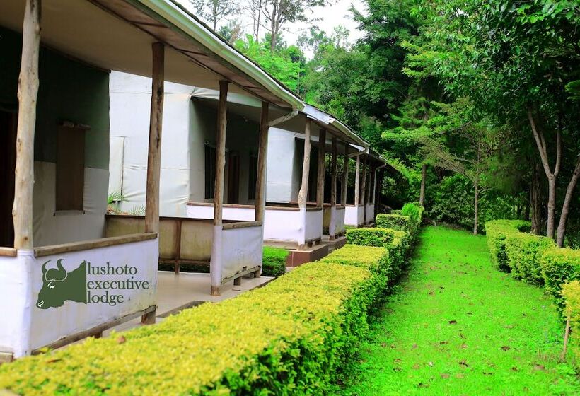 בית מלון כפרי Lushoto Executive Lodge