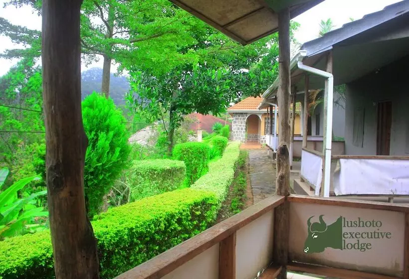 ホテル Lushoto Executive Lodge
