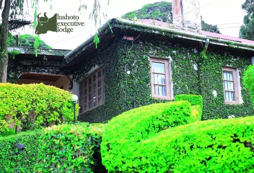 ホテル Lushoto Executive Lodge