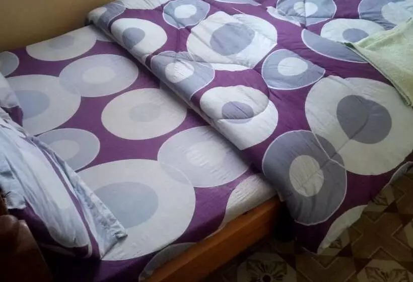 هتل Mingi Mingi Guest House