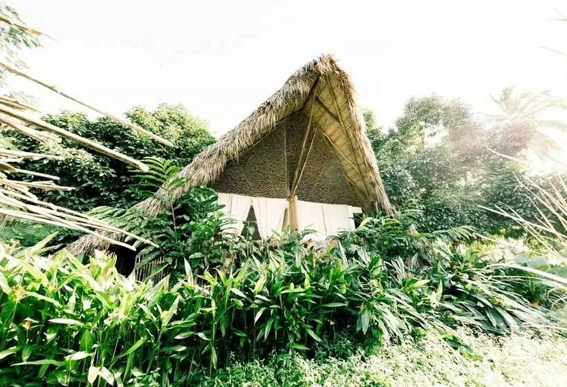 هتل Shiva Village
