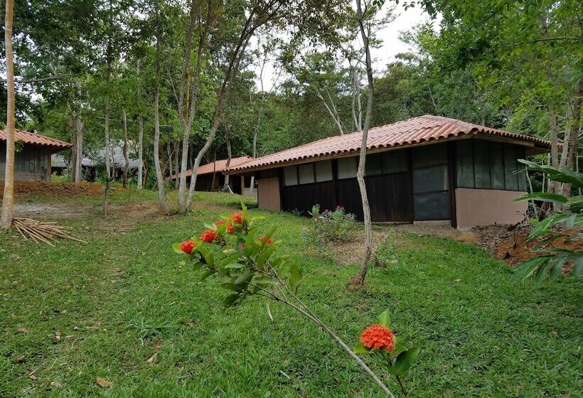 ホテル Tambo Ilusión