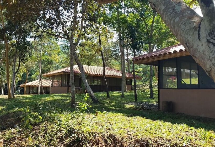 ホテル Tambo Ilusión