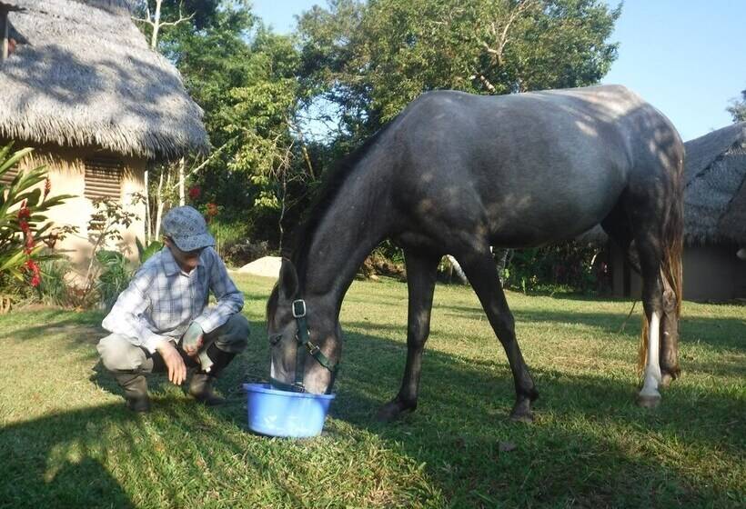 ホテル Tambo Ilusión