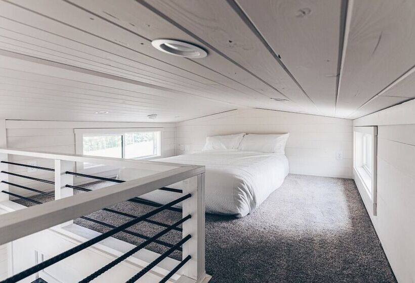 Cincinnati Camp Cedar