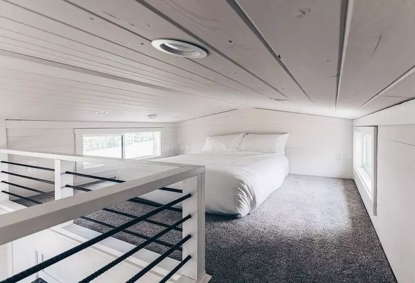 Cincinnati Camp Cedar