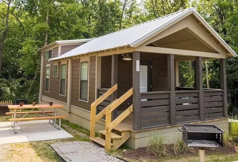 Cincinnati Camp Cedar