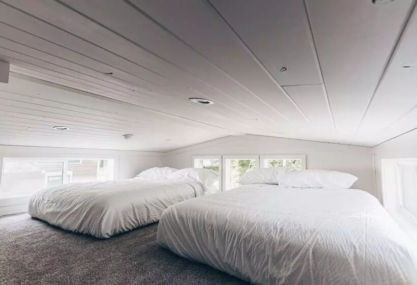 Cincinnati Camp Cedar