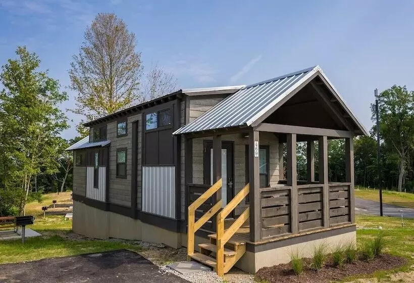 Cincinnati Camp Cedar