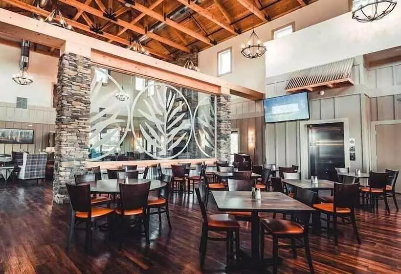 Cincinnati Camp Cedar