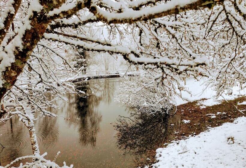 بنسيون A L Orée Du Bois