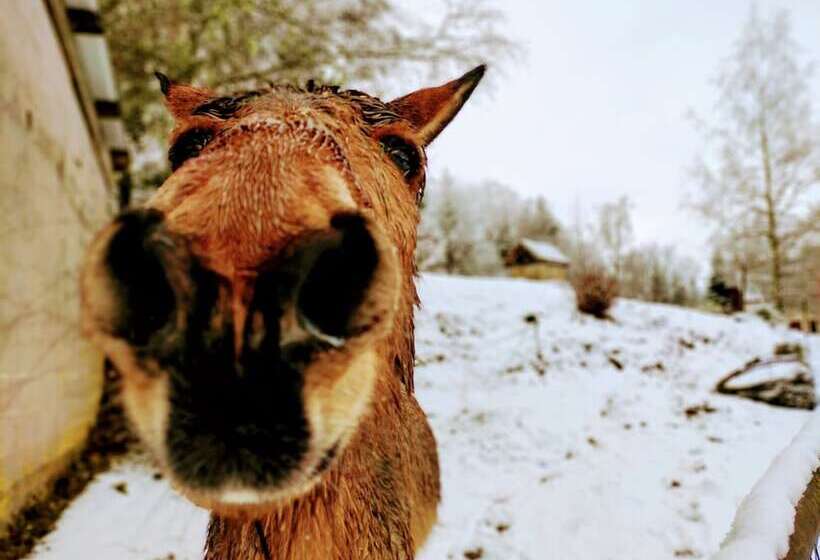 بنسيون A L Orée Du Bois