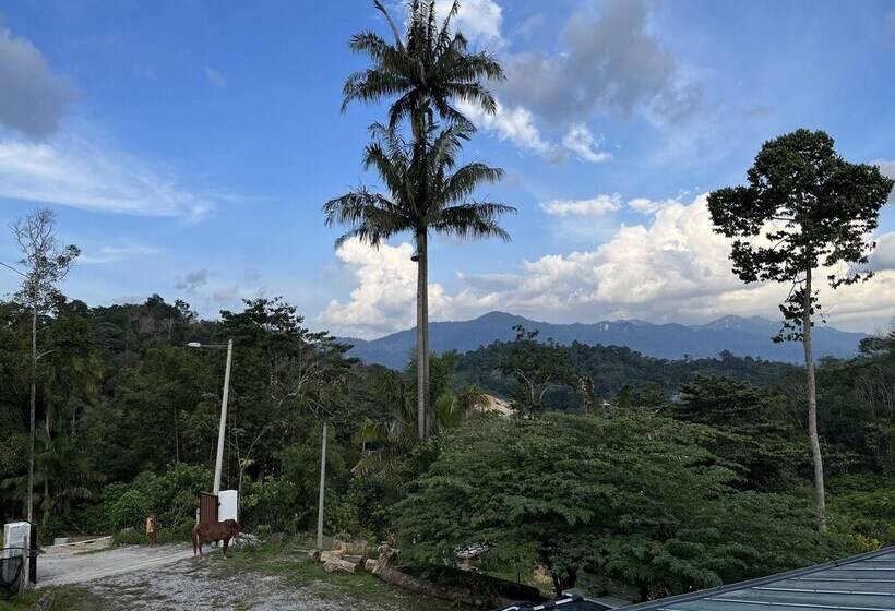 ペンション Nana S Homestay