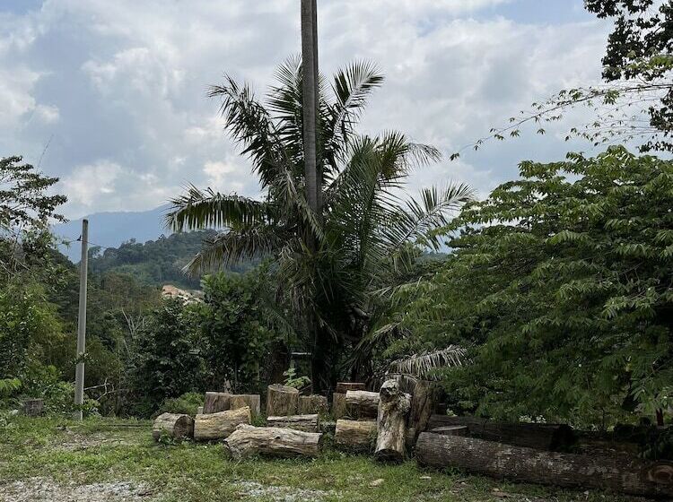 ペンション Nana S Homestay