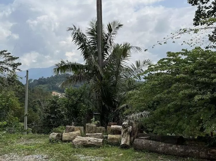 ペンション Nana S Homestay