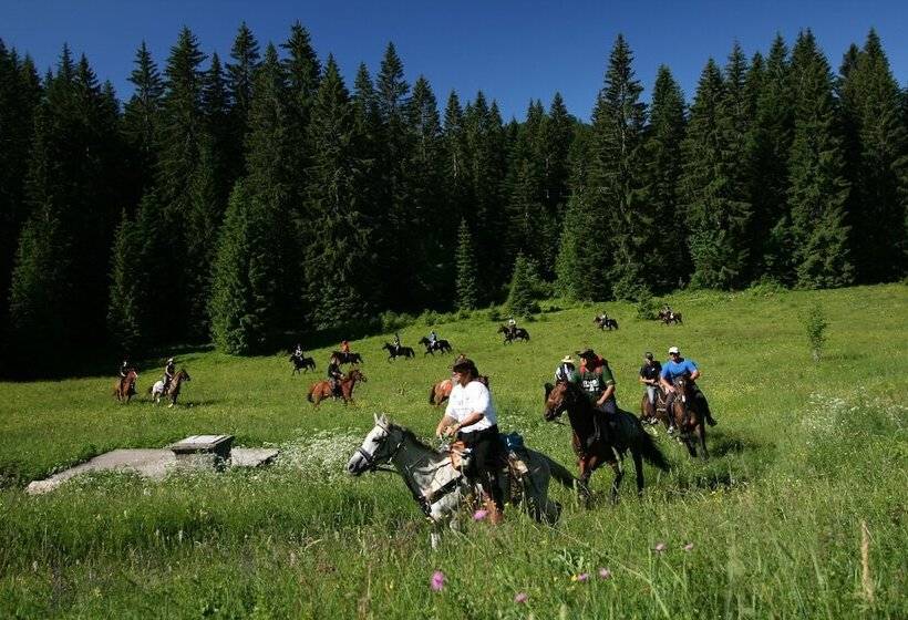 渡假胜地  Indian Village Tipi Tent