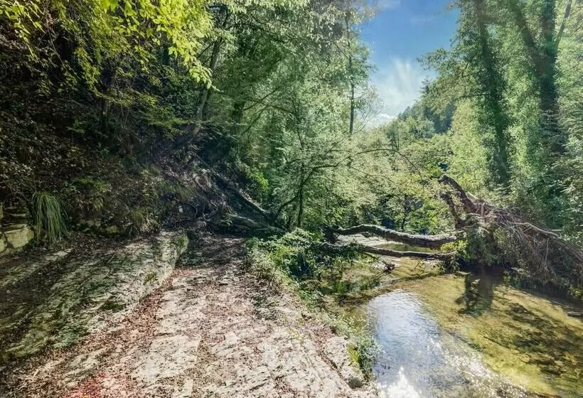 Small Cottage With A 17th Century Hydraulic Mill
