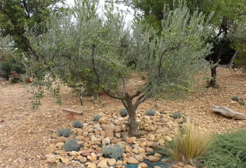 ベッドアンドブレックファースト La Maison De Marie