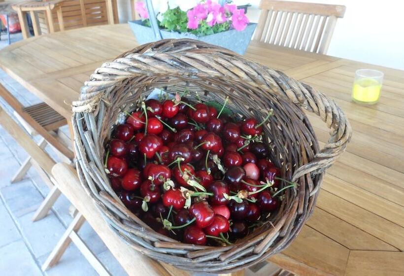 Bed and Breakfast La Maison De Marie