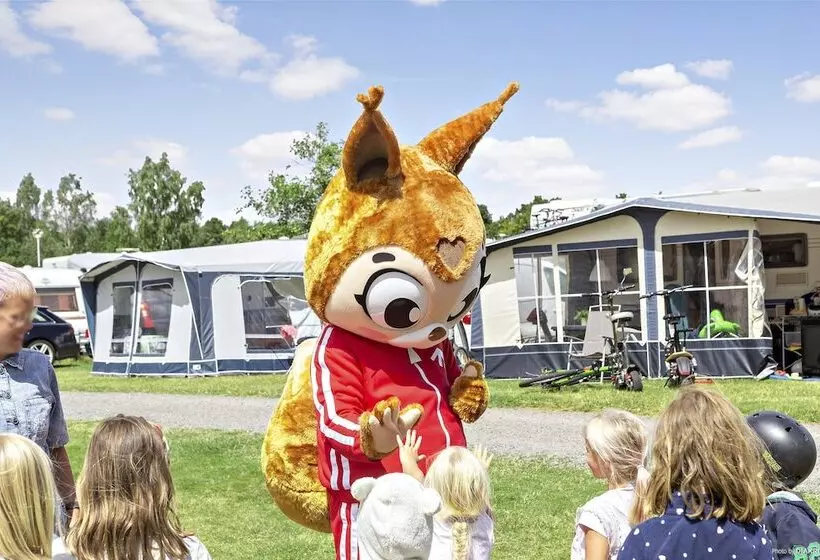 First Camp Röstånga Söderåsen