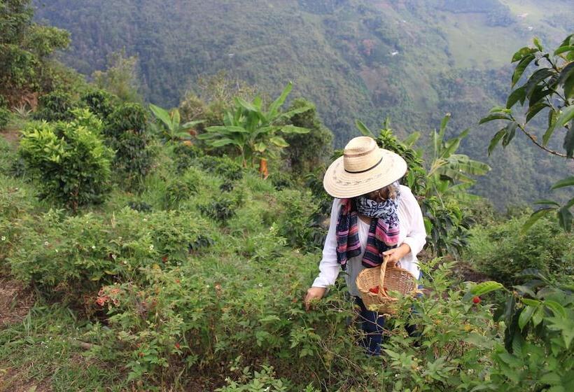 בית מלון כפרי Bordones