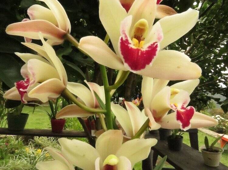 בית מלון כפרי Bordones