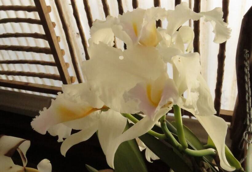 בית מלון כפרי Bordones