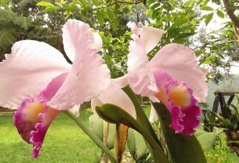 בית מלון כפרי Bordones