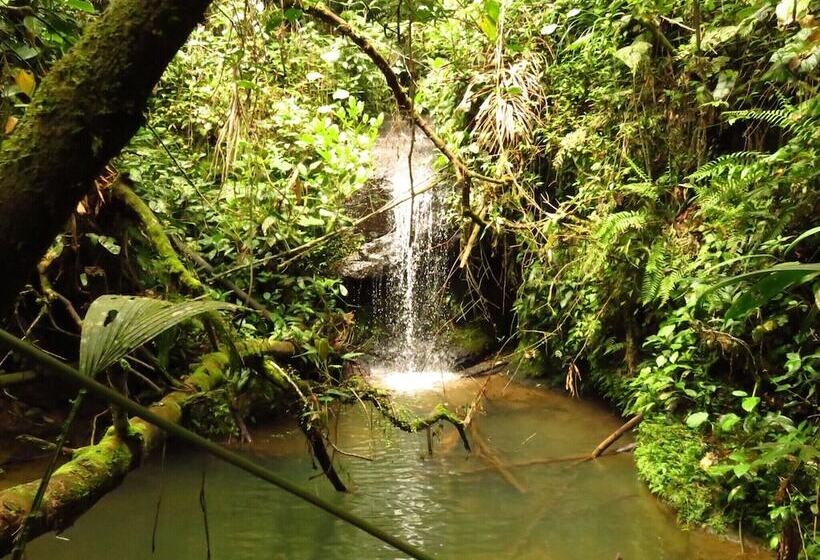 בית מלון כפרי Bordones