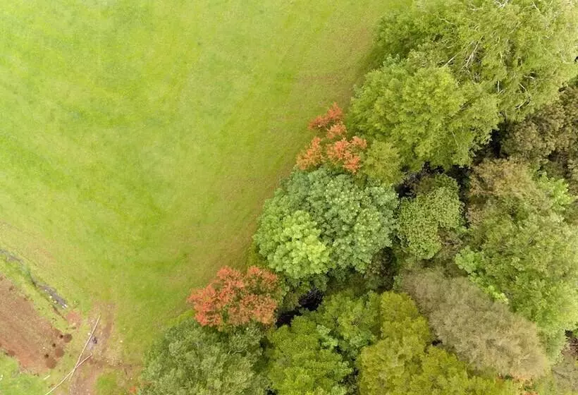هتل Entre Pampa Y Bosque