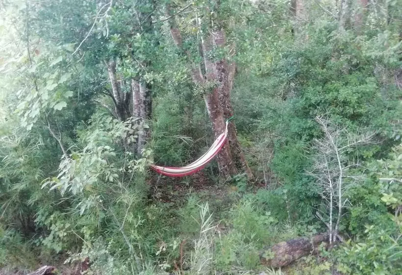 هتل Entre Pampa Y Bosque