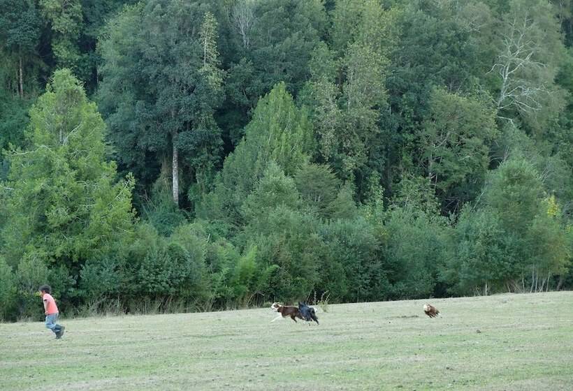 ホテル Entre Pampa Y Bosque